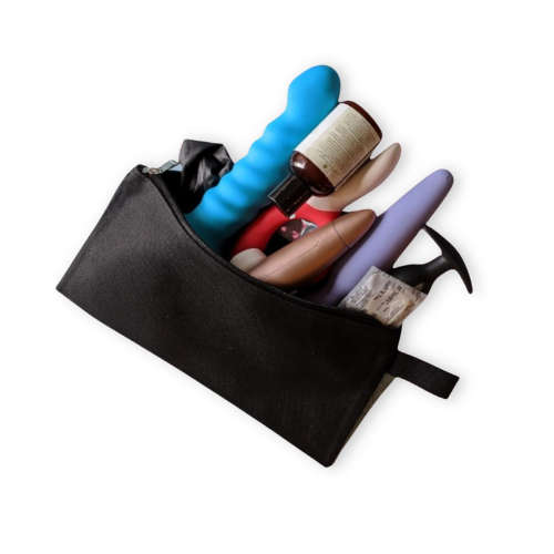 BAG O' DICKS - Zippered Storage Bag