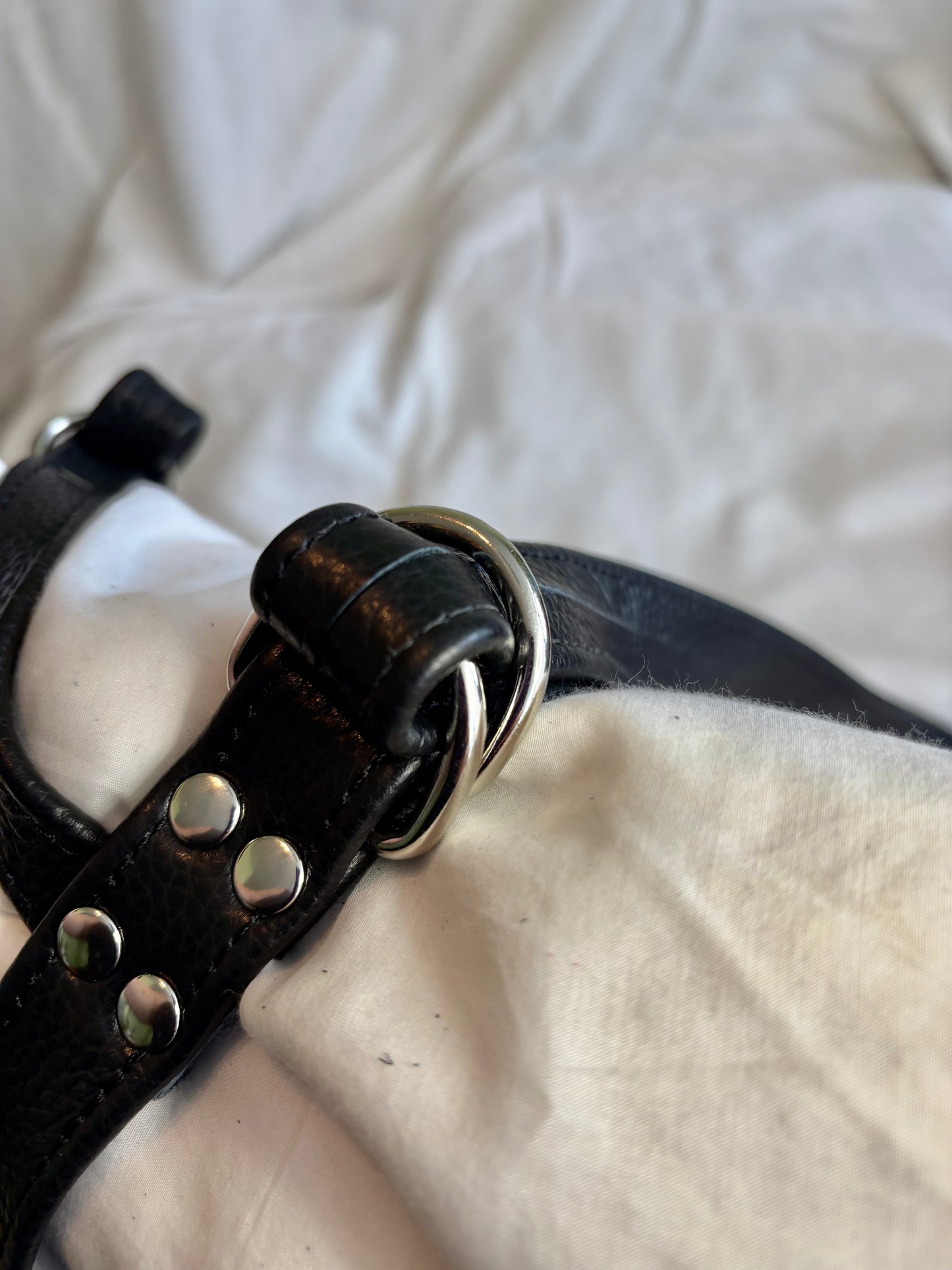 Strapon Harness - Black Leather - Size Inclusive