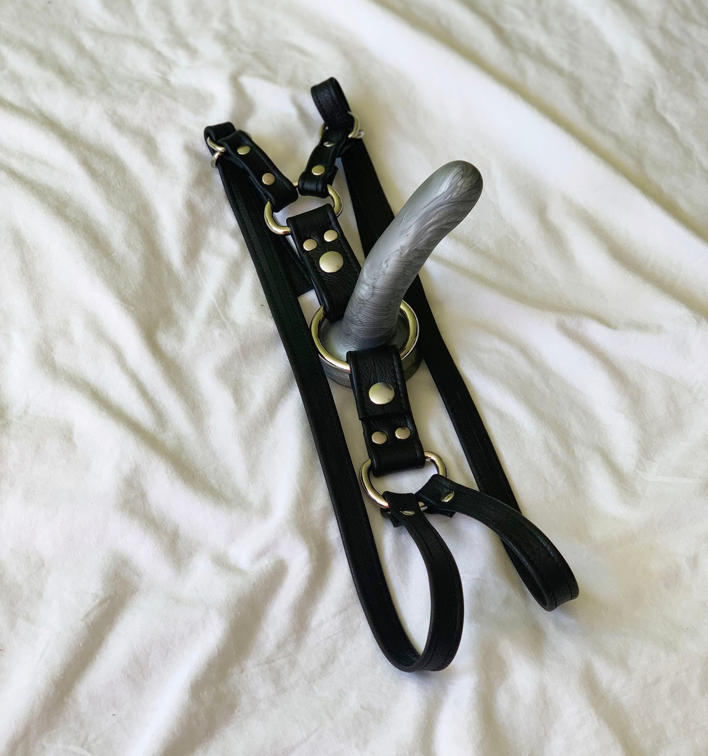 Dual Harness Set