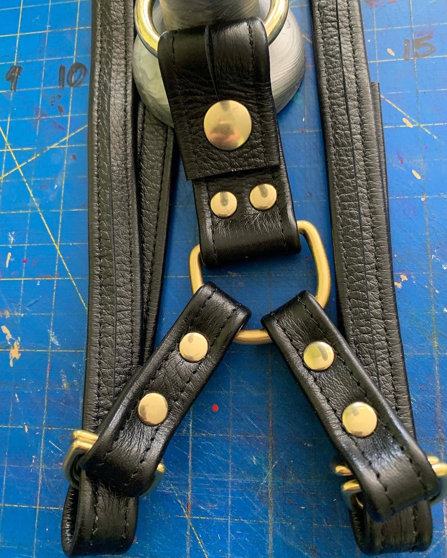 Black Leather Strapon Collection With Brass Hardware - Thigh, Strap, Hand