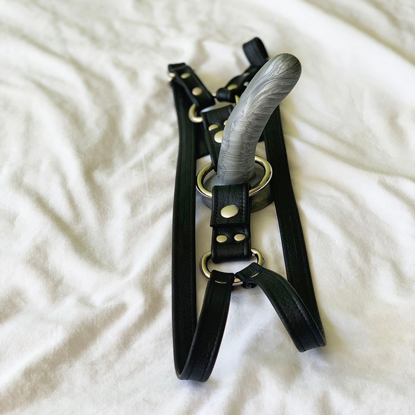Dual Harness Set