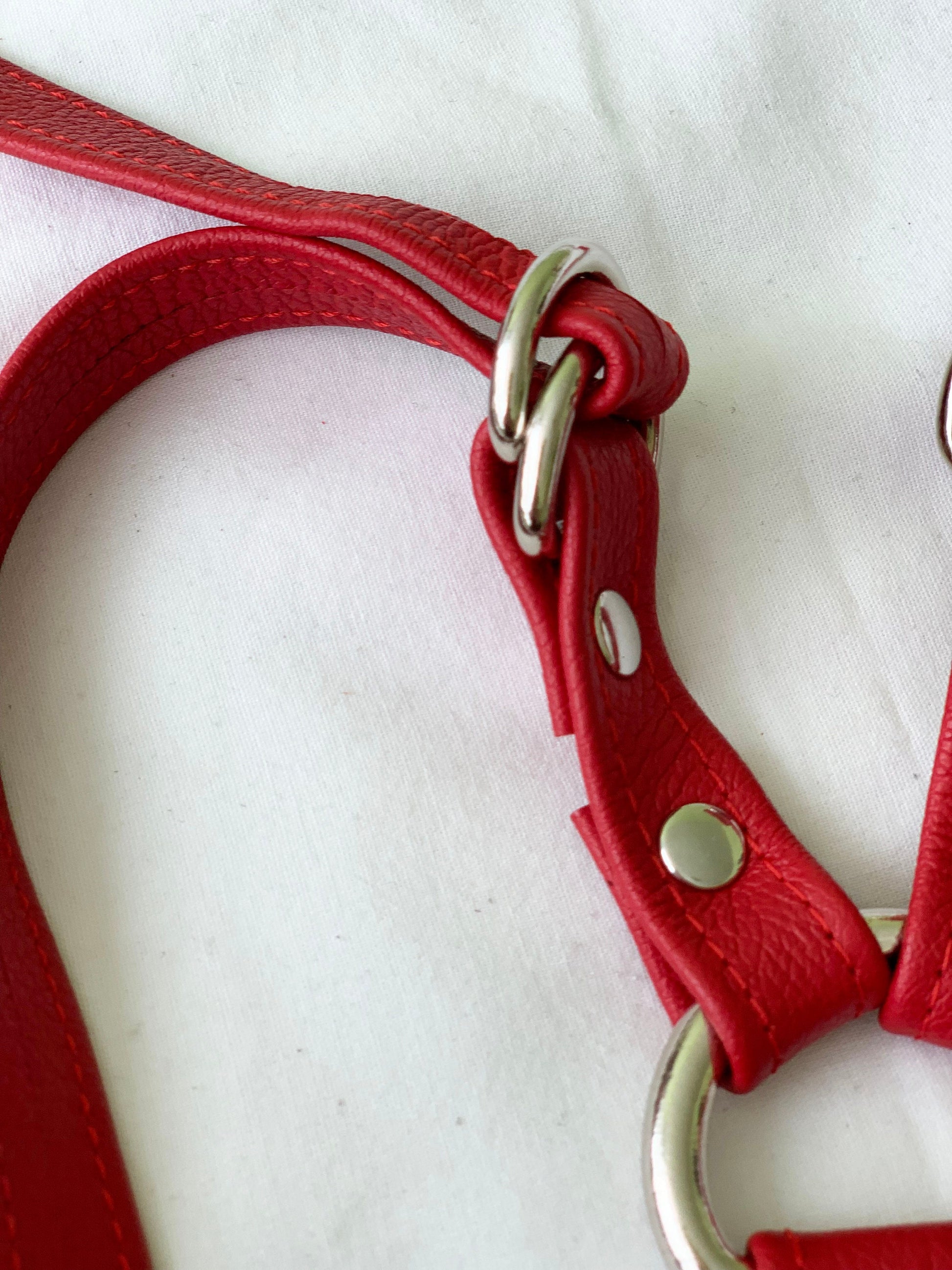 red leather thigh strapon harness closeup with 2 d rings