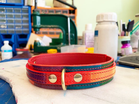 Rainbow Hand Dyed Collar